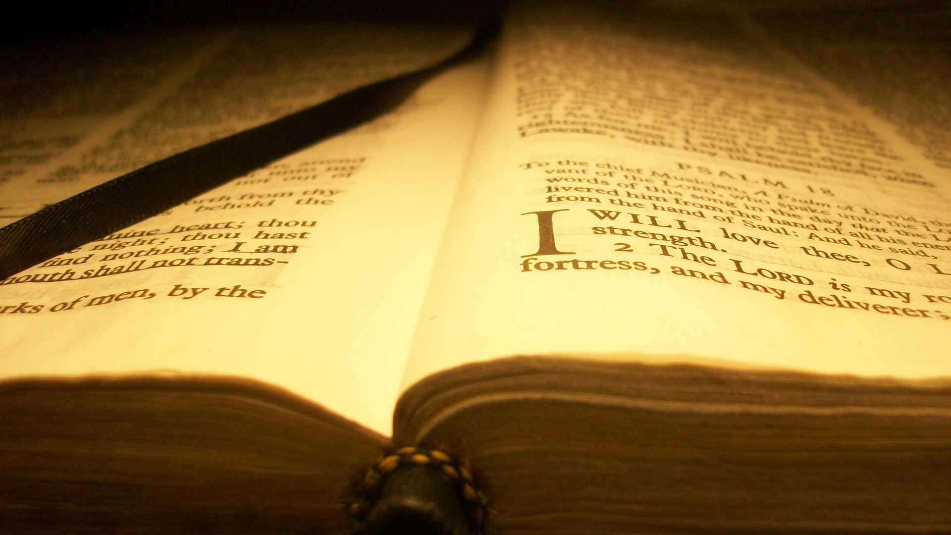 A Reflection on the Authority of the Scripture