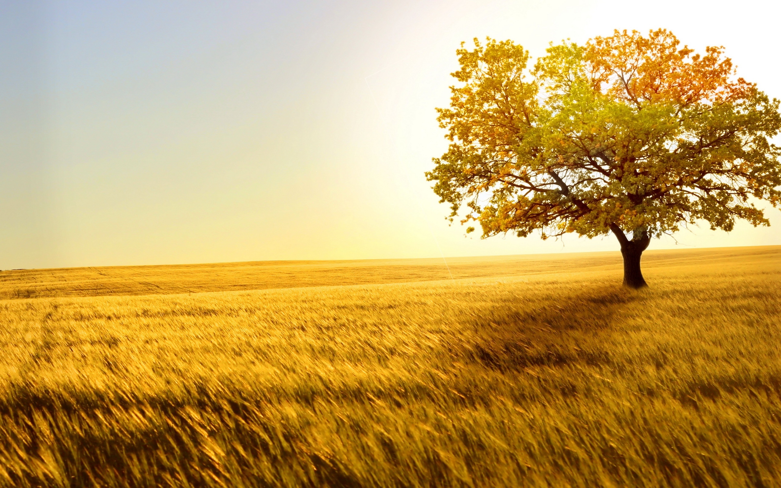 A Call to Love and Serve Others