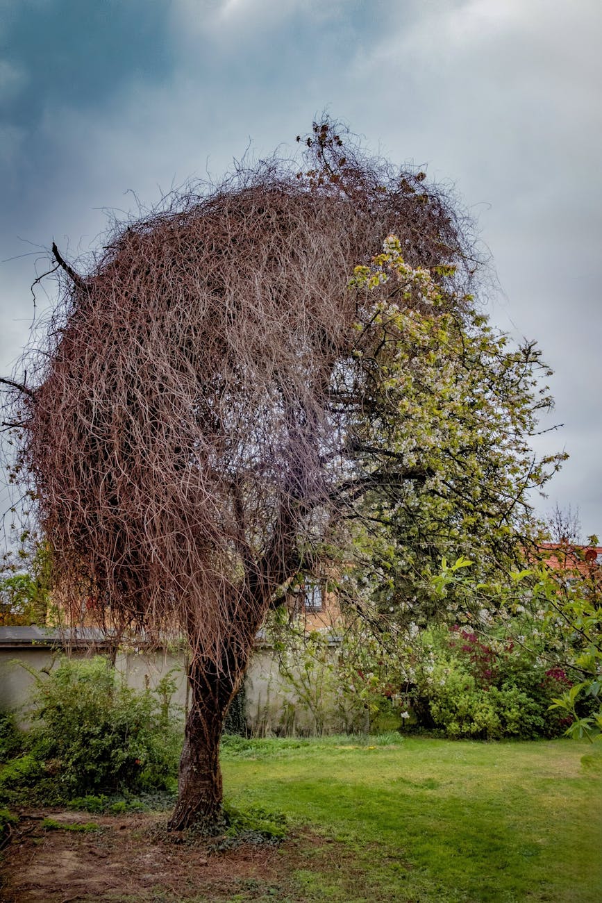 ROOTED Series: When Faith Feels Different